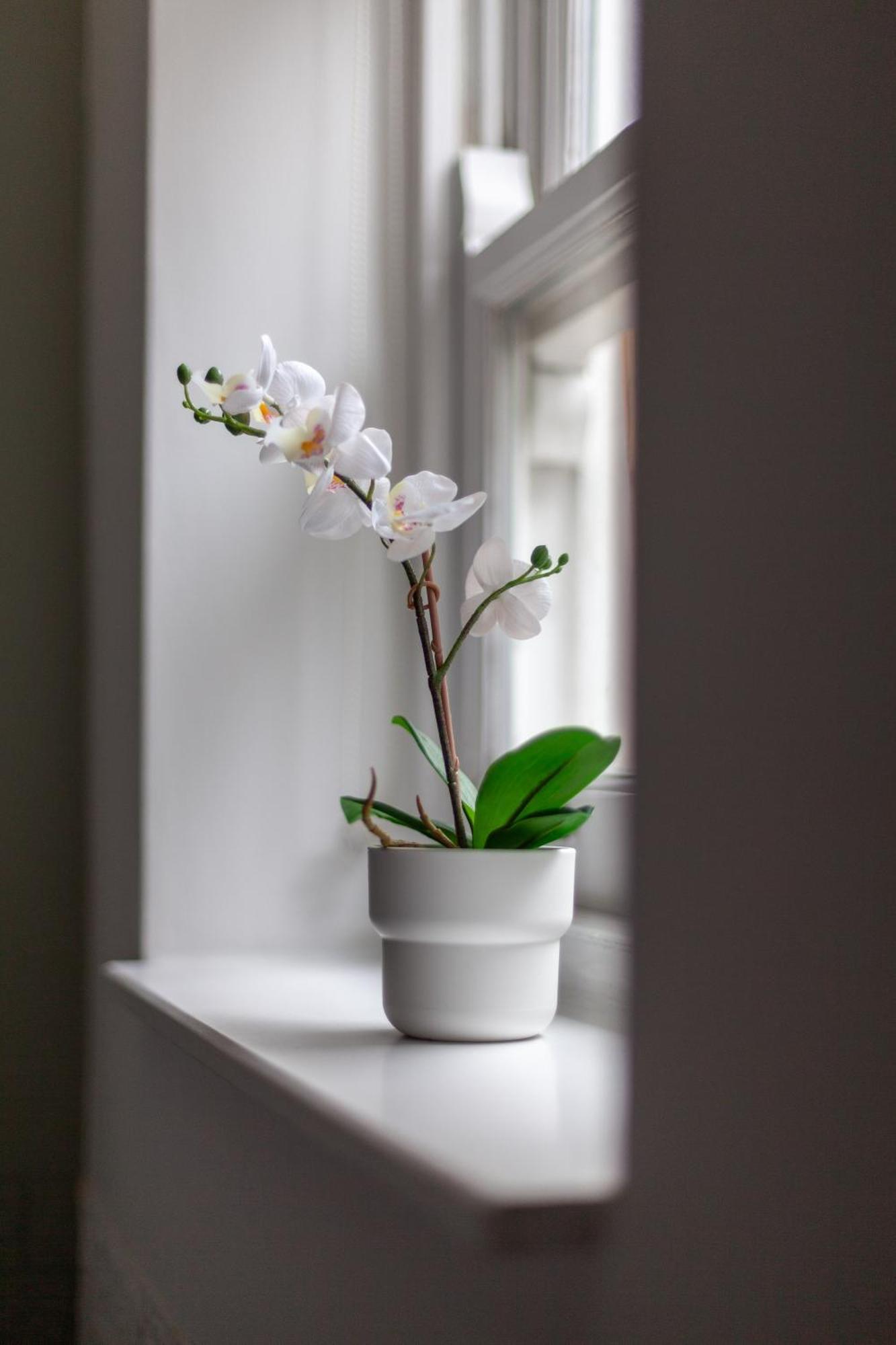 Apartament The Hackney Luxury Flat Londyn Zewnętrze zdjęcie